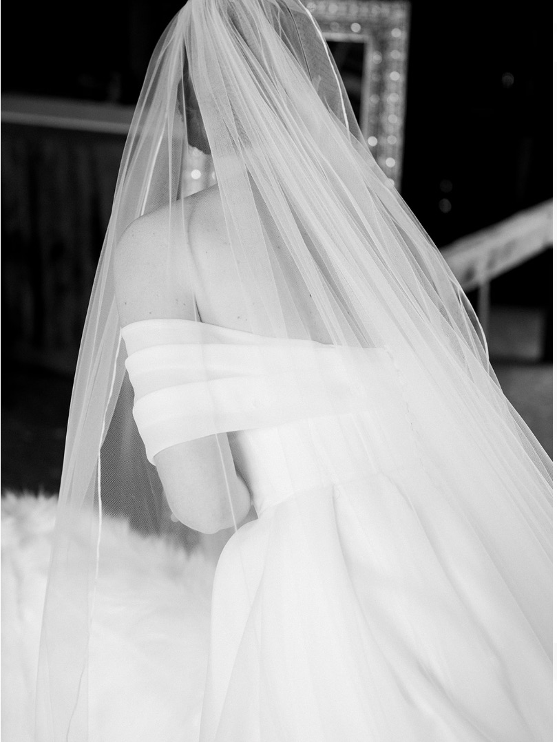 Bridal Hair Comb Veil - White